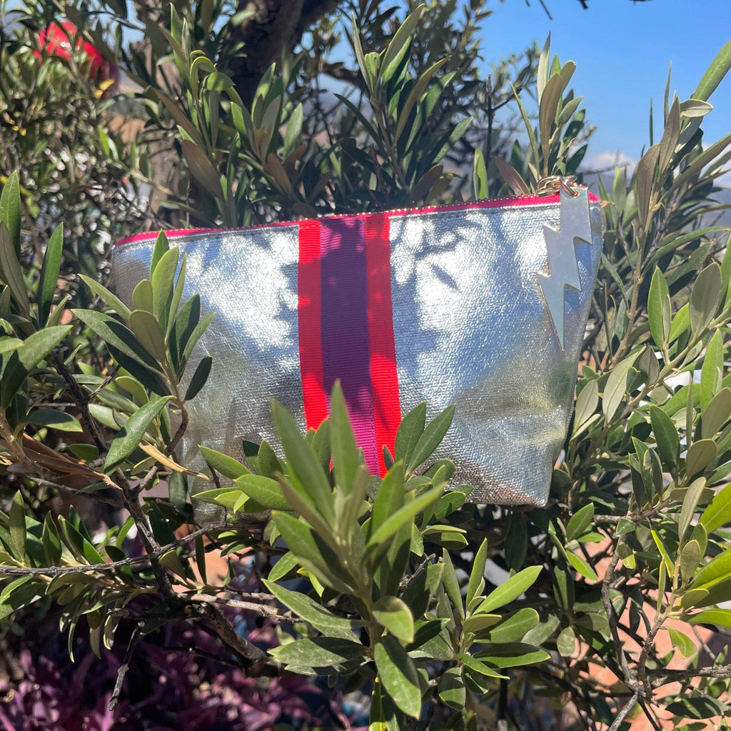 Cockatoo - SMALL SHEENY SILVER BAG